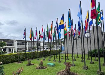 Instituto Interamericano de Cooperación para la Agricultura (IICA).- Fuente externa.