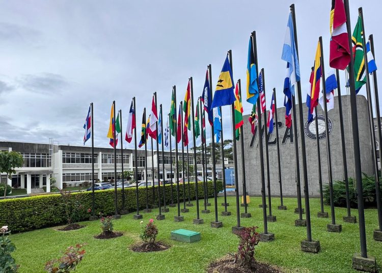 Instituto Interamericano de Cooperación para la Agricultura (IICA).- Fuente externa.