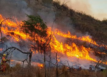 Incendio forestal - Fuente externa.
