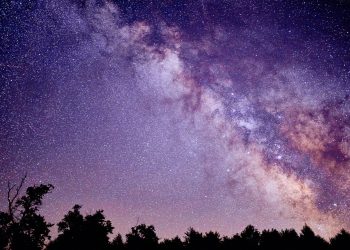 El hallazgo llega tras cuatro décadas de investigación. - Fuente externa.