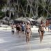 Punta Cana, República Dominicana. - EFE.
