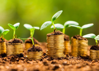 El Proyecto Gaia financiará iniciativas de adaptación y mitigación en los mercados emergentes para ayudarlos a cumplir con sus prioridades climáticas. - Fuente externa.