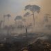Fire consumes land recently deforested by cattle farmers near Novo Progresso, Para state, Brazil, Sunday, Aug. 23, 2020. Environmentalists say that the Amazon has lost about 17% of its original area and, fear at the current it could reach a tipping point in the next 15 to 30 years after which it could cease to generate enough rainfall to sustain itself. (AP Photo/Andre Penner)