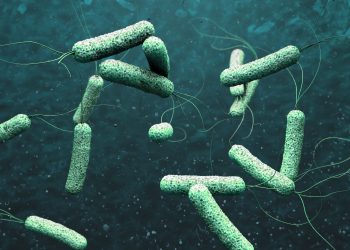 Cólera - Fuente externa.