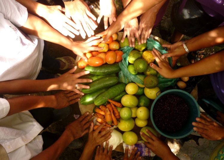 Seguridad alimentaria. - Fuente externa.
