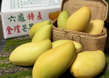 Mango - Fuente externa.