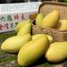 Mango - Fuente externa.