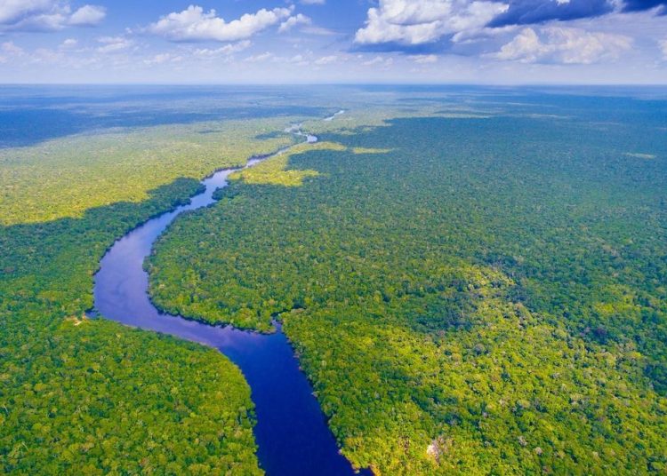 Amazonía en Brasil - Fuente externa.