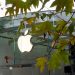 Apple. - Fuente externa.