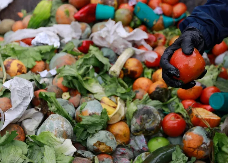 Desperdicios de alimentos