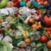 Desperdicios de alimentos