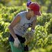 Cada 15 de octubre se celebra el Día Internacional de la Mujer Rural. - EFE/Jaro Muñoz.
