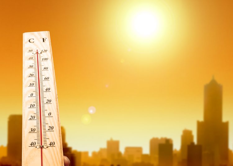 El estudio recuerda que las regiones que más muertes por olas de calor registran son Asia, con un 45% del total entre 2000 y 2019, y Europa, con un 36%. - Fuente externa.