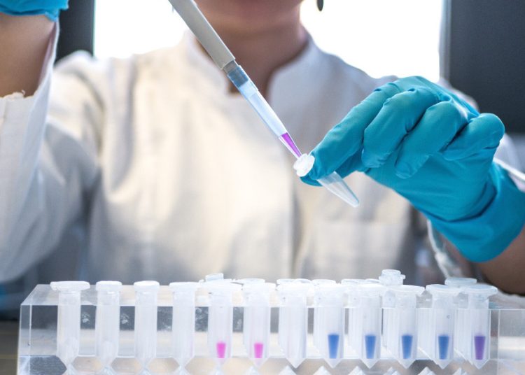 Los investigadores del ITQ sintetizaron análogos de tanshinone y carnosol, mediante un proceso sostenible a partir de materiales procedentes de la resina del pino. - Fuente externa.
