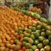 Quisqueya cuenta con alrededor de 1,900 productores registrados de mango, más de 143,000 tareas sembradas. - Fuente externa.