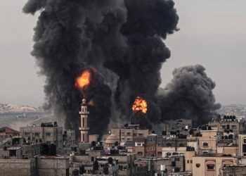 El informe detalla que la producción en Gaza se ha desplomado un 84% (unos US$200 millones mensuales) desde el inicio del conflicto. - Fuente externa.