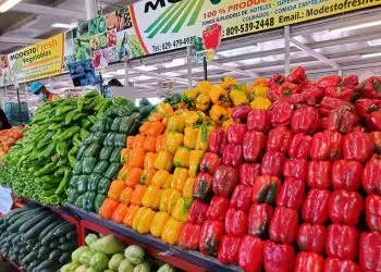 El país pasó de una producción de vegetales en invernaderos de 12.2 millones de libras mensuales a más de 22 millones de libras cada mes.- Fuente externa.