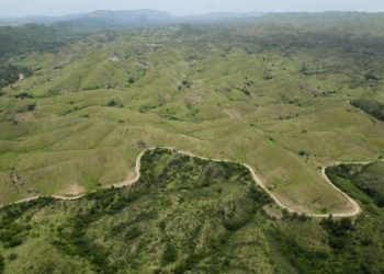 Se entiende por servicios ecosistémicos o ambientales aquellos que la naturaleza o los procesos ecológicos proveen a los seres vivos y al planeta y son de cuatro tipos: de abastecimiento, de regulación, de apoyo y culturales. - Fuente externa.