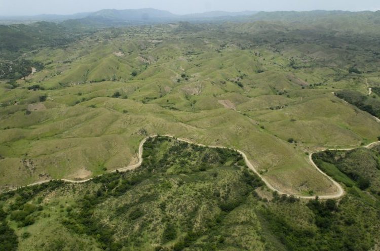 Se entiende por servicios ecosistémicos o ambientales aquellos que la naturaleza o los procesos ecológicos proveen a los seres vivos y al planeta y son de cuatro tipos: de abastecimiento, de regulación, de apoyo y culturales. - Fuente externa.