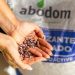 BioActive incluye fórmulas diseñadas para distintas etapas del desarrollo de los cultivos.