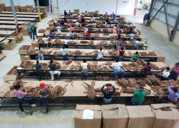 Los gastos locales de las empresas de zonas francas corresponden a los montos de las adquisiciones de bienes y servicios que demandan de empresas locales. - Fuente externa.