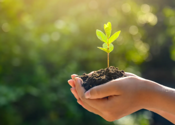 Sostenibilidad - Fuente externa.