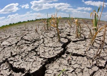 Fenómeno El Niño | Fuente externa.