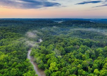 Comunidades de la Amazonía que enfrentan dificultades para acceder a una alimentación balanceada pueden encontrar en la región boliviana.
