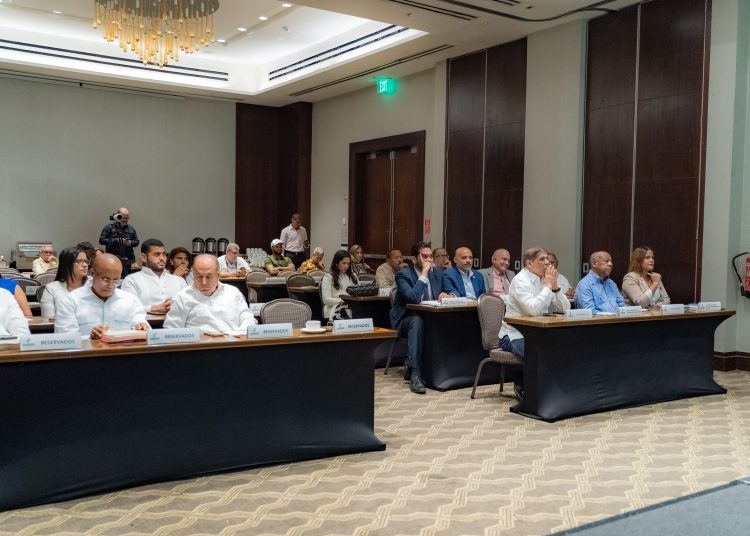 Agrodosa mantiene certificados financieros en el Banco Agrícola por RD$208,503,500 y préstamos por un monto de RD$245,079,444.