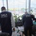 Tanto el director general de la DGII, Luis Valdez Veras, como de la DGA, Eduardo Sanz Lovatón, reafirmaron a través del comunicado, su rol de proteger el comercio lícito de aquellos que quieren inobservar le ley en perjuicio del Estado dominicano.