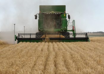 La agricultura, las actividades forestales y otros usos de la tierra representan en torno al 22% de todas las emisiones de efecto invernadero.