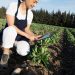 Agricultura Tech