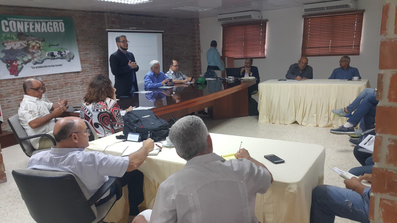 agricultura orgánica 2