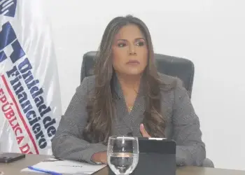 Guzmán Coste aclaró que cuando se incluye una profesión o actividad económica como sujeto obligado, es tras una evaluación pormenorizada y sectorial que determina su susceptibilidad para ser utilizada en actividades ilegales.