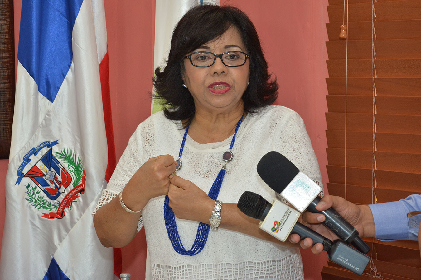 Altagracia Paulino, exdirectora ejecutiva de ProConsumidor. | Gabriel Alcántara