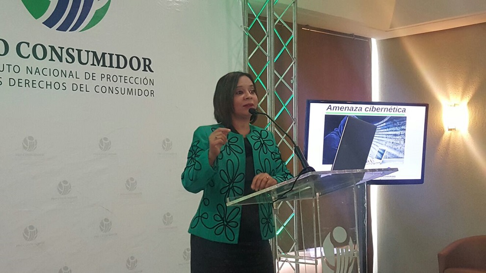anina del castillo, pro consumidor