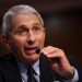 El director del Instituto Nacional de Alergología y Enfermedades Infecciosas estadounidense, Anthony Fauci. | Kevin Dietsch, Reuters.