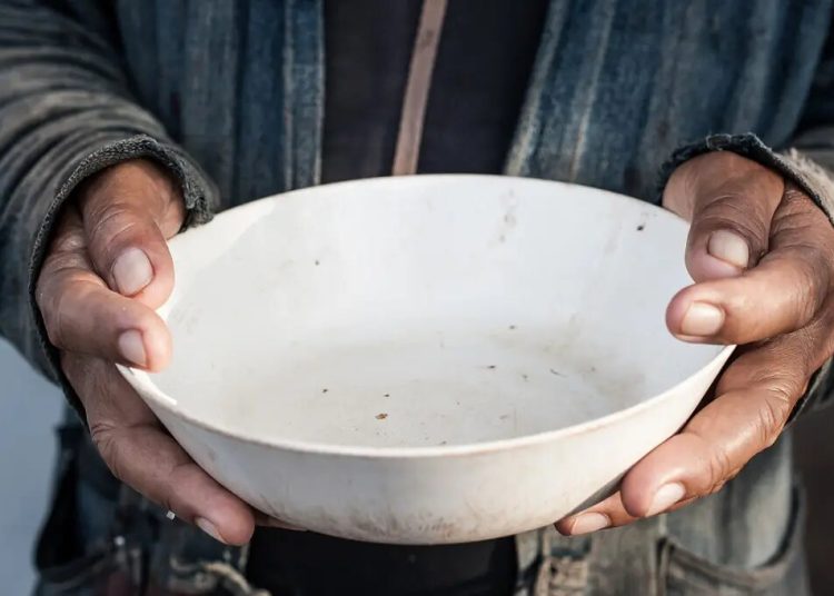 El informe calcula que unos 735 millones de personas padecieron hambre a lo largo del año pasado. | Fuente externa.