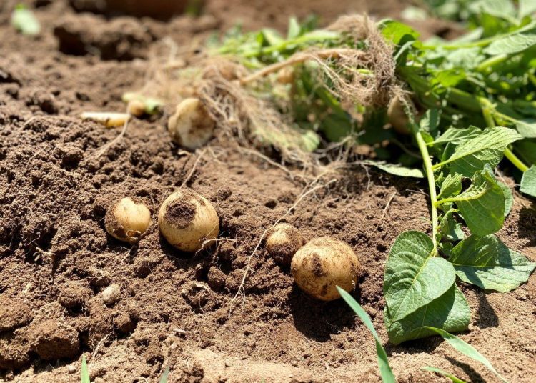 Avances en materia de sustentabilidad - Fuente externa.