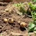 Avances en materia de sustentabilidad - Fuente externa.