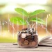 La operación estará liderada por los bancos Bank of America, Goldman Sachs y HSBC.