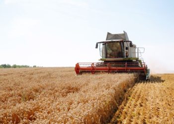 Brasil logró crecer por encima del 2% en 2025, favorecida por su potente industria agropecuaria, que se disparó un 11.7% en el año.