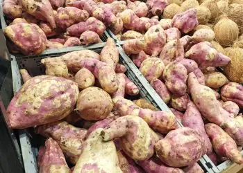 Las batatas forman parte de la preparación de habichuelas con dulce. | Ronny Cruz