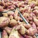 Las batatas forman parte de la preparación de habichuelas con dulce. | Ronny Cruz