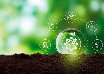 La transición circular comienza con diagnósticos empresariales que permitan rediseñar procesos.