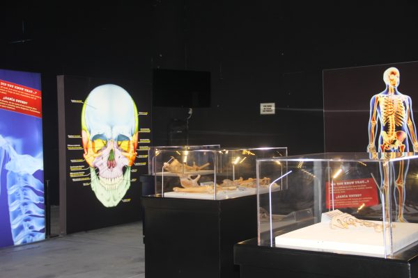 Bodies 2