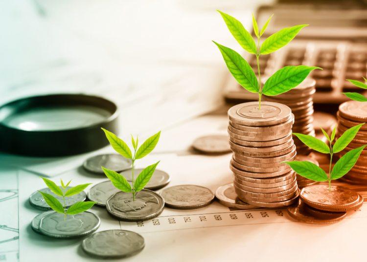 Bonos verdes, Inversiones verdes, Inversión sostenible