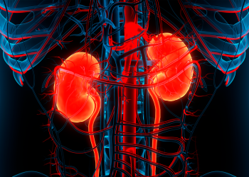 Riñones - Fuente externa.