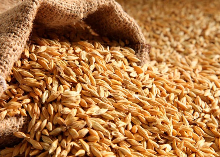 La FAO indica que aproximadamente 60% del consumo nacional de cereales se cubre con importaciones.