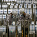Industria manufacturera china. - Fuente externa.